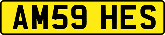 AM59HES