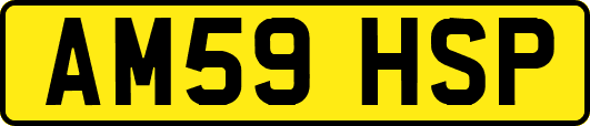 AM59HSP