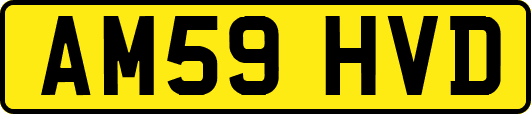 AM59HVD