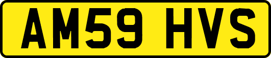 AM59HVS