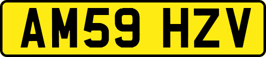 AM59HZV