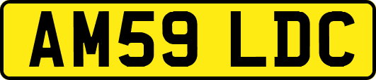 AM59LDC