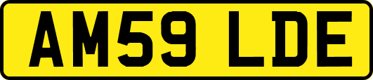 AM59LDE