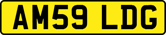 AM59LDG