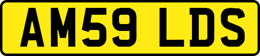 AM59LDS