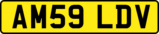 AM59LDV