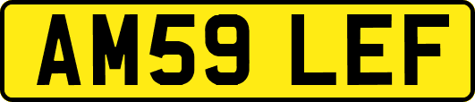 AM59LEF