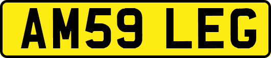 AM59LEG