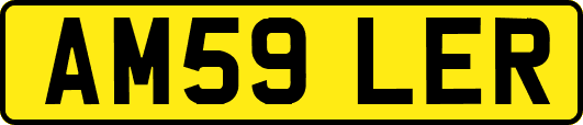 AM59LER