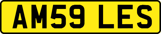 AM59LES