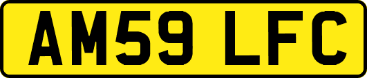 AM59LFC