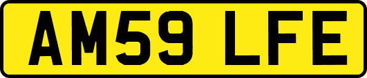 AM59LFE