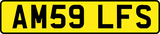 AM59LFS