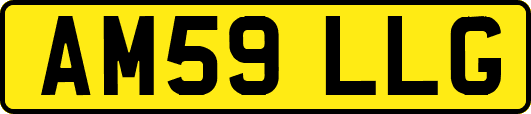 AM59LLG