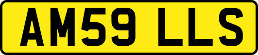 AM59LLS