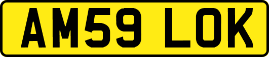 AM59LOK