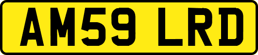AM59LRD