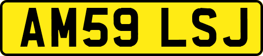 AM59LSJ