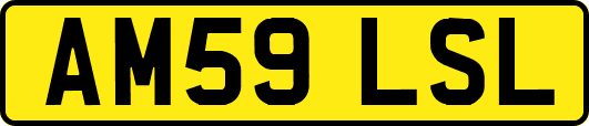 AM59LSL