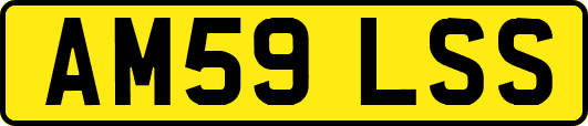 AM59LSS