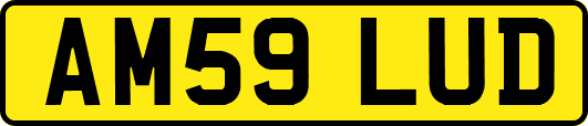AM59LUD