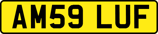 AM59LUF