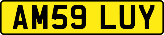AM59LUY