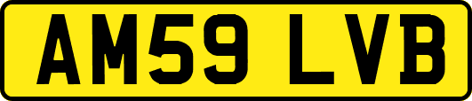 AM59LVB