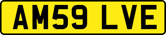 AM59LVE