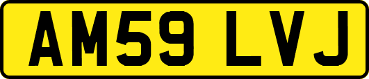 AM59LVJ