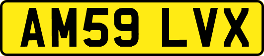 AM59LVX