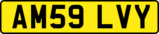 AM59LVY
