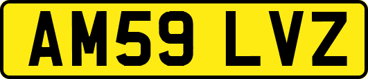 AM59LVZ