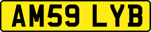 AM59LYB