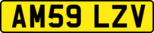 AM59LZV