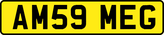 AM59MEG