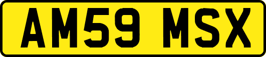 AM59MSX
