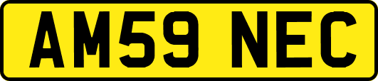 AM59NEC