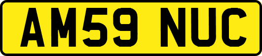 AM59NUC
