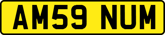 AM59NUM