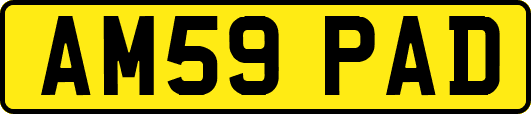 AM59PAD