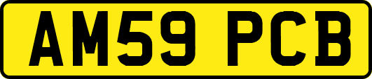 AM59PCB