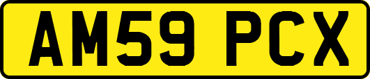 AM59PCX