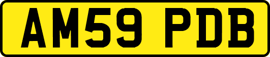 AM59PDB