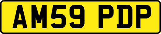 AM59PDP