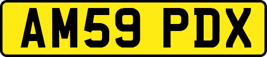 AM59PDX