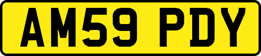 AM59PDY