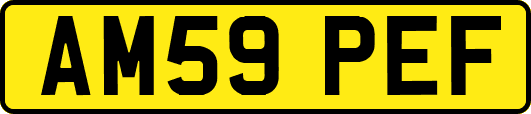 AM59PEF