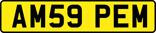 AM59PEM
