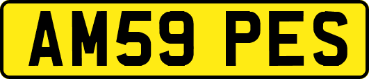 AM59PES